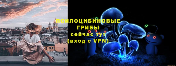 стафф Карталы