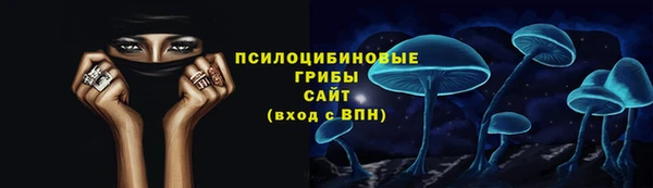винт Карпинск