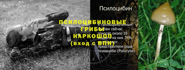 винт Карпинск